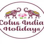 Lotus India Holidays 